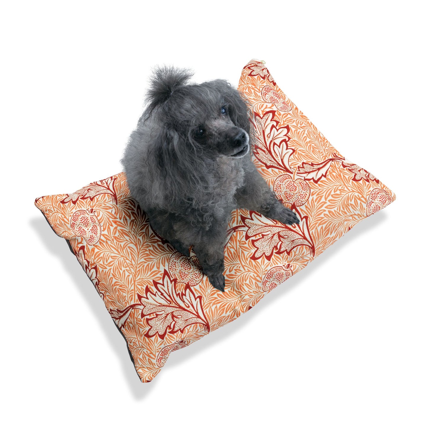 Dog sitting on a decorative pillow with a floral pattern on a white background