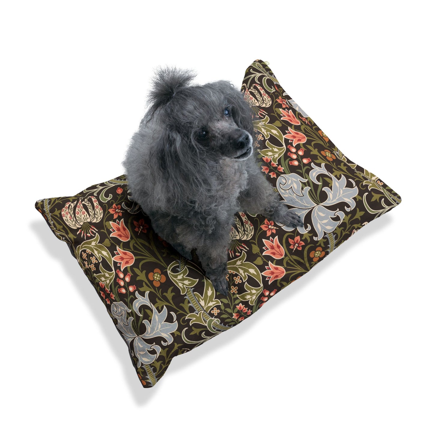 Dog sitting on a decorative pet bed with floral patterns