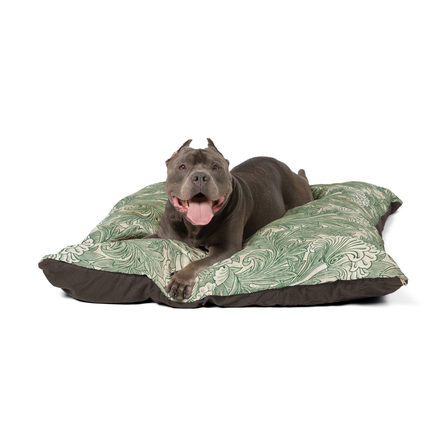 Pet Bed