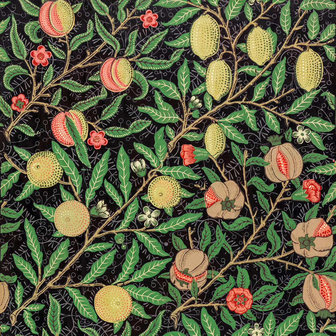 william-morris-co-kitchen-tea-towel-fruit-pattern-collection-12