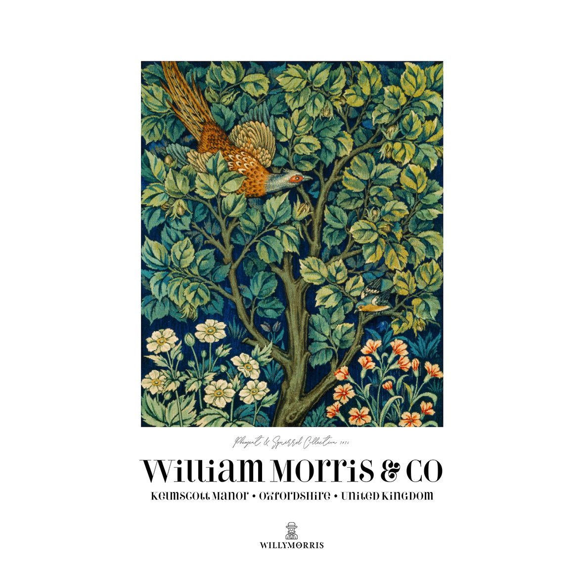 william-morris-co-giclee-art-print-pheasant-squirrel-collection-pheasant-2
