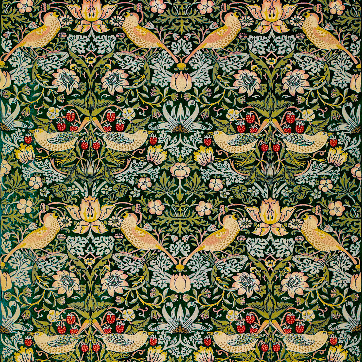 william-morris-co-area-rugs-strawberry-thief-collection-ebony-10