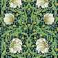 Decorative pattern with white flowers and green leaves on a dark background