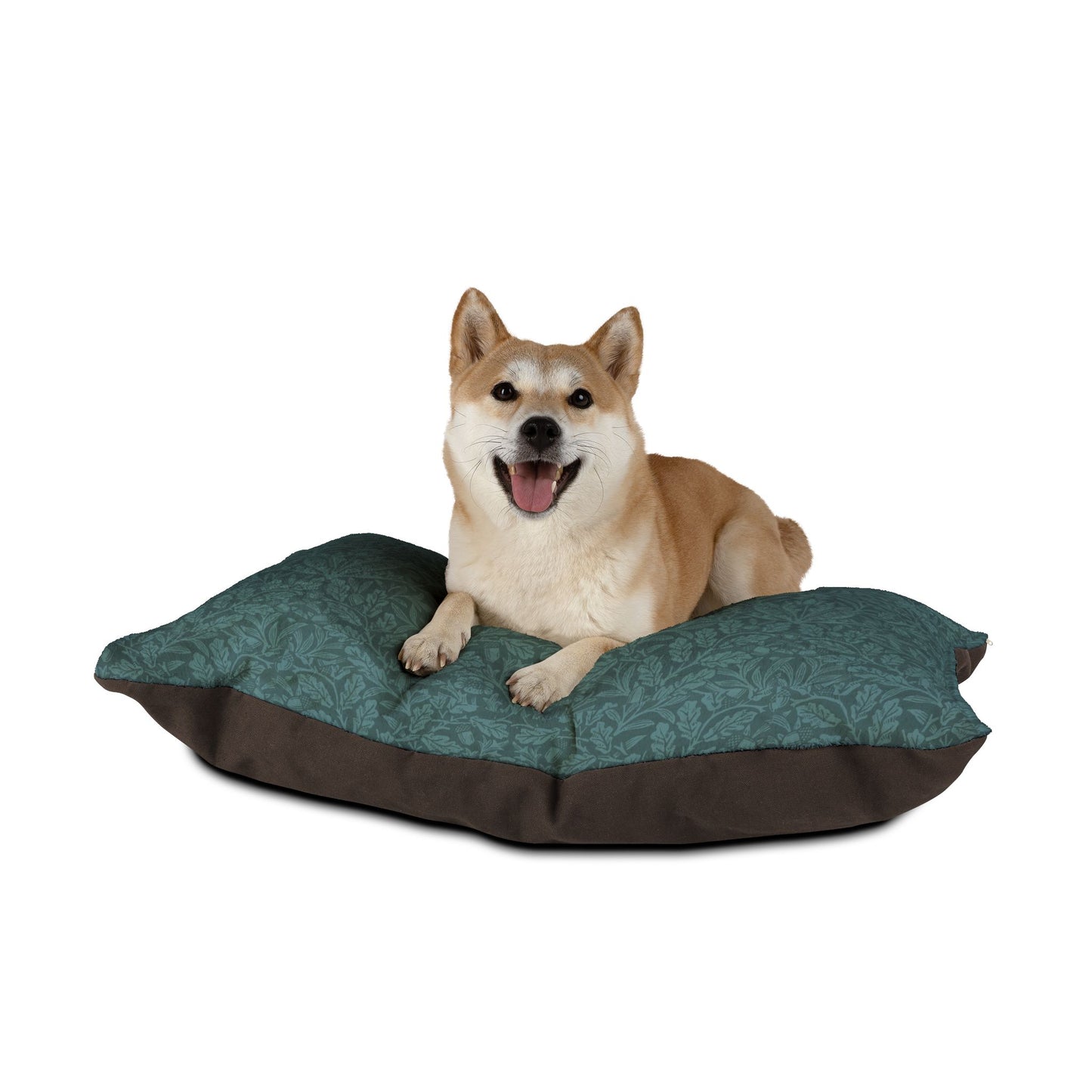 Dog lying on a green and brown pet bed with a white background