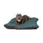 Dog lying on a teal and brown pet bed with a white background