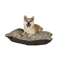 Dog sitting on a floral-patterned dog bed with a white background