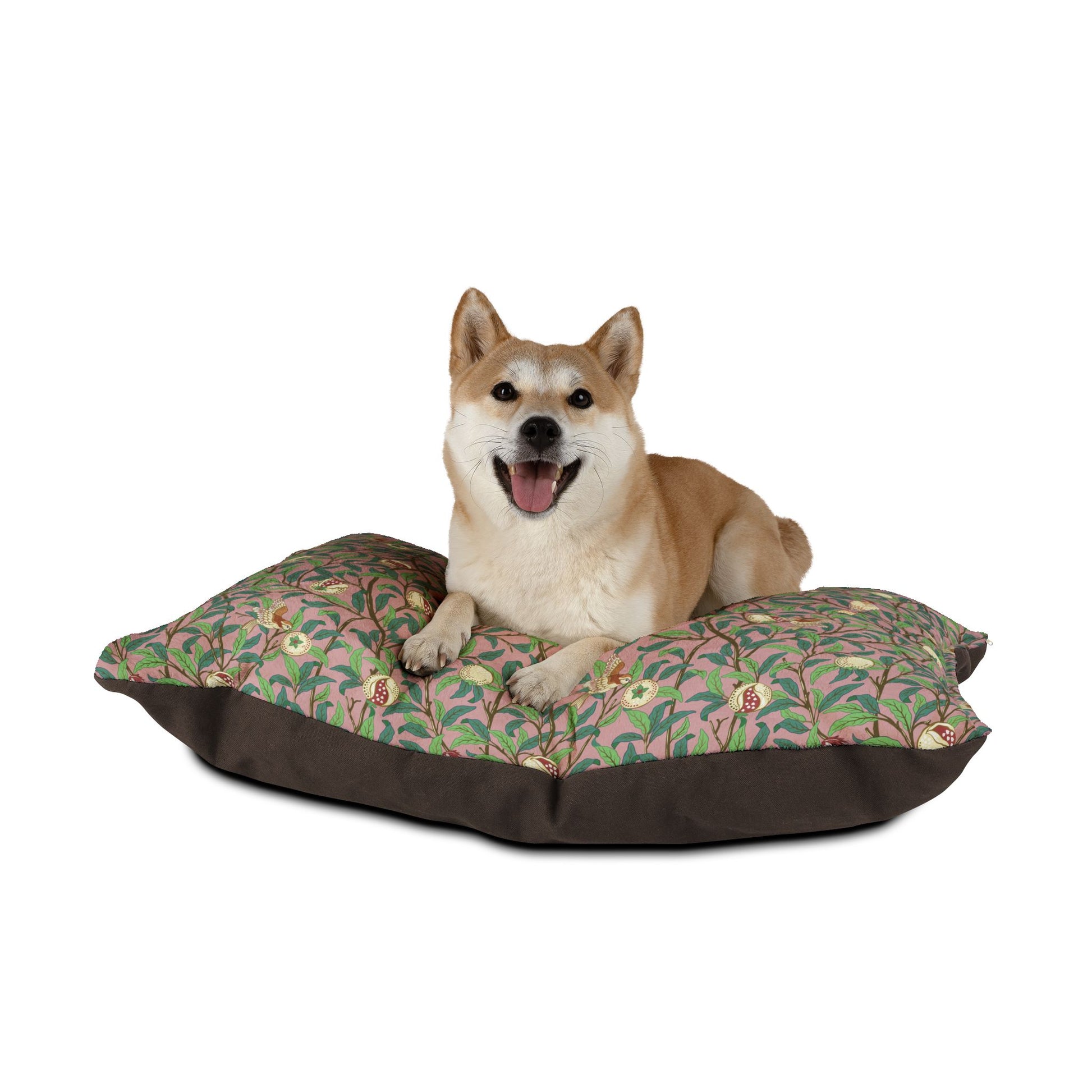 Dog sitting on a floral-patterned dog bed with a white background