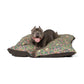 Dog lying on a patterned dog bed with a white background