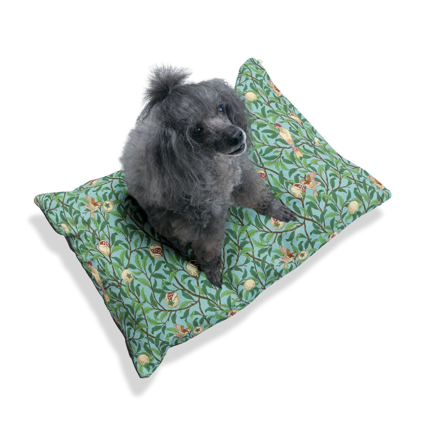 Dog sitting on a green William Morris & Co  floral-patterned dog bed with a white background