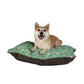 Dog sitting on a William Morris & Co floral-patterned pet bed with a white background