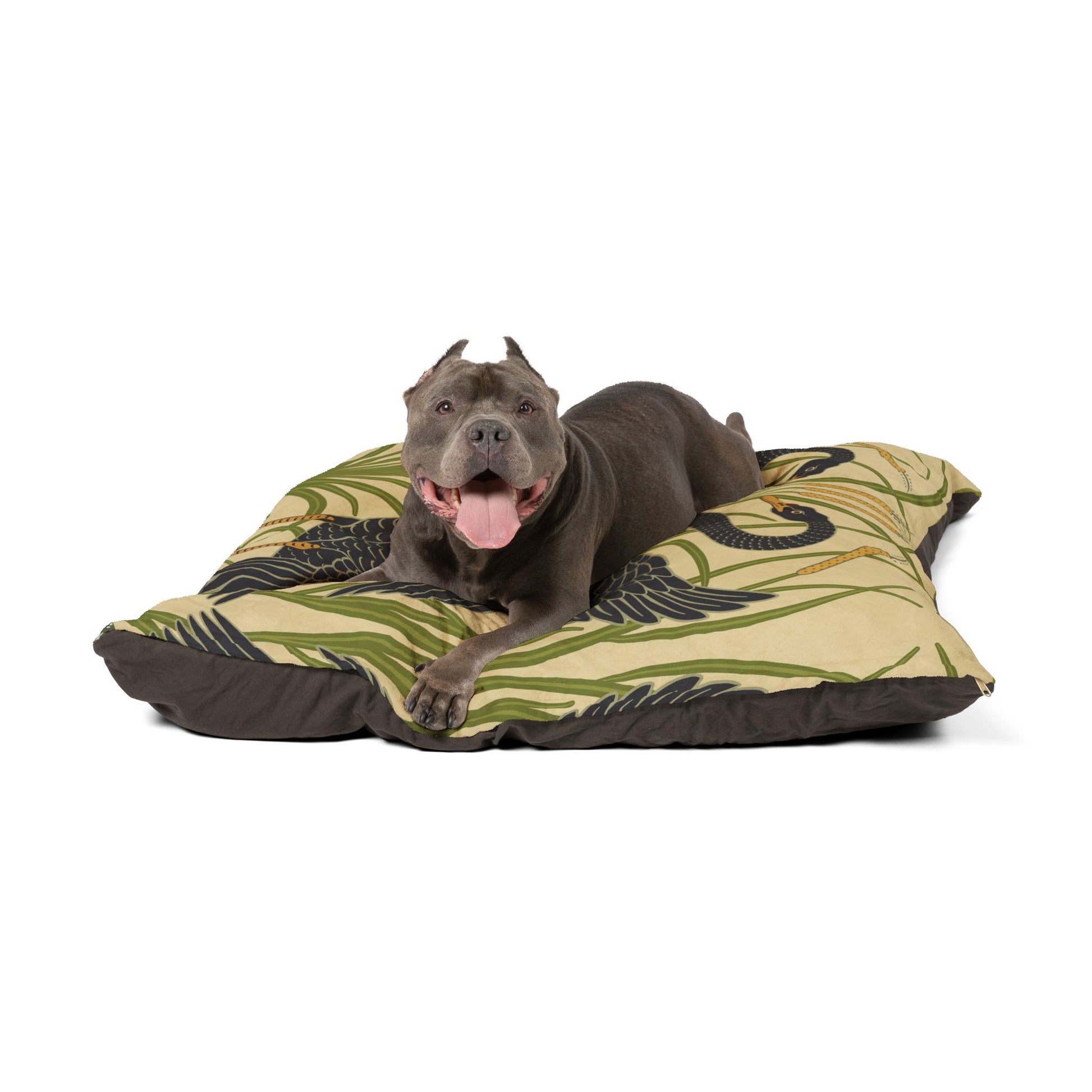 Dog lying on a patterned pet bed with a white background