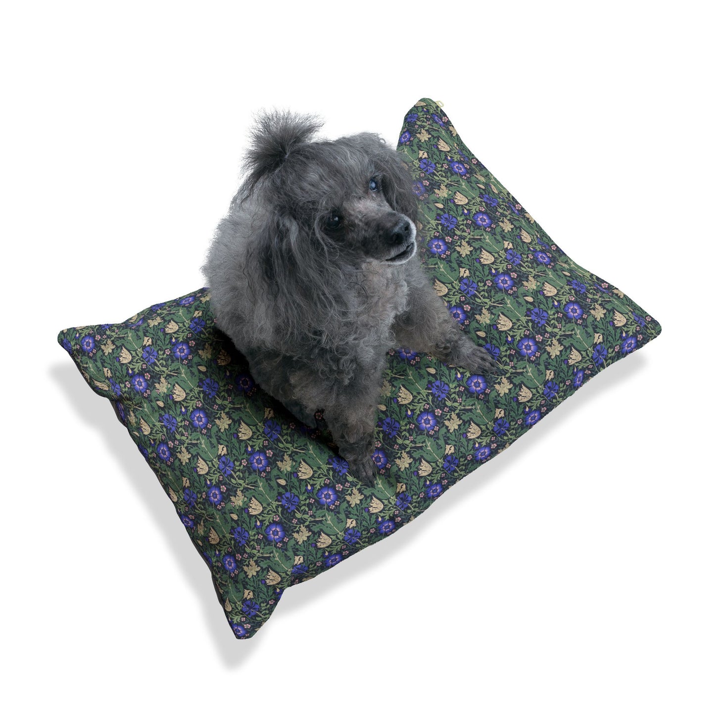 Dog sitting on a William Morris & Co floral-patterned cushion with a white background