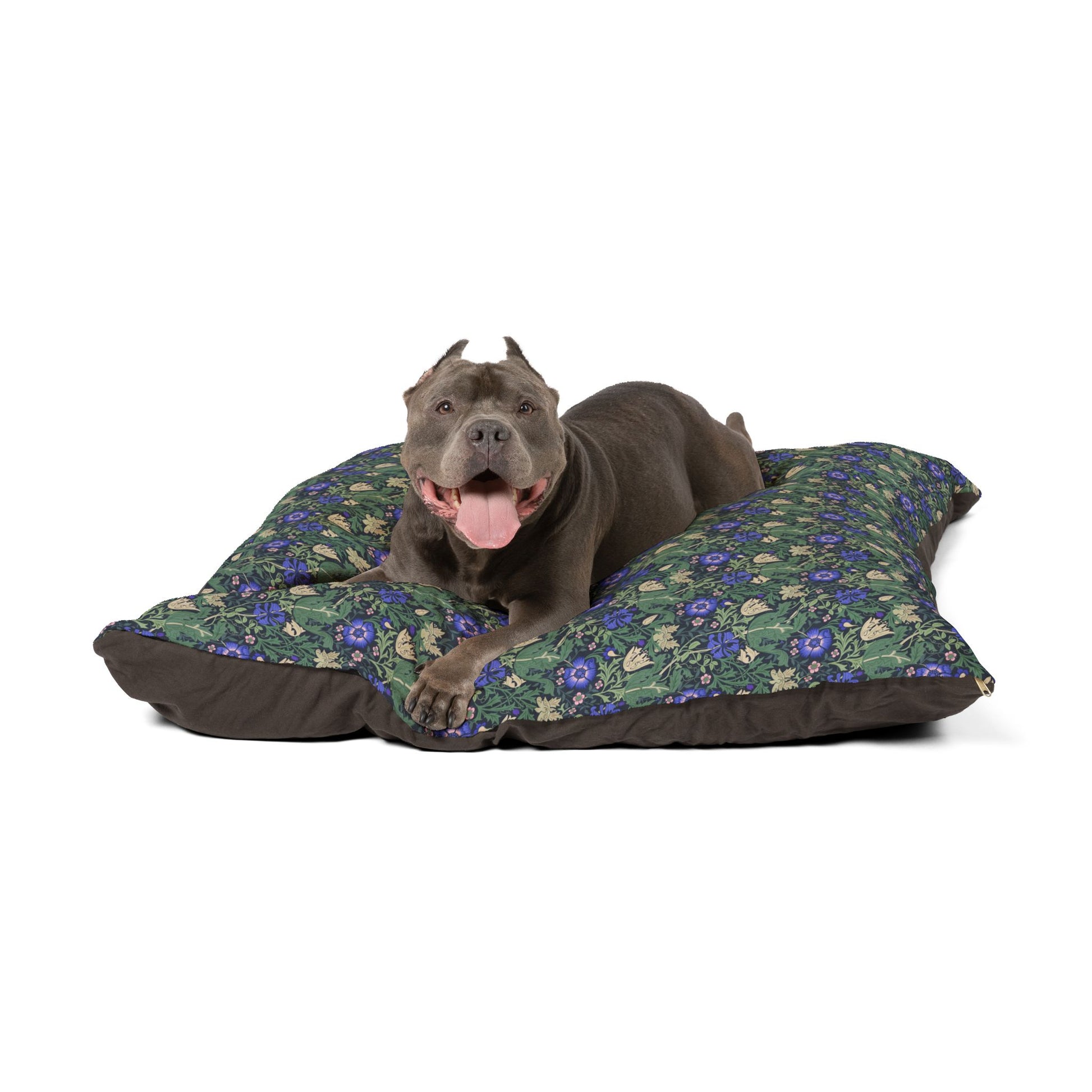 Dog lying on a floral-patterned pet bed with a white background