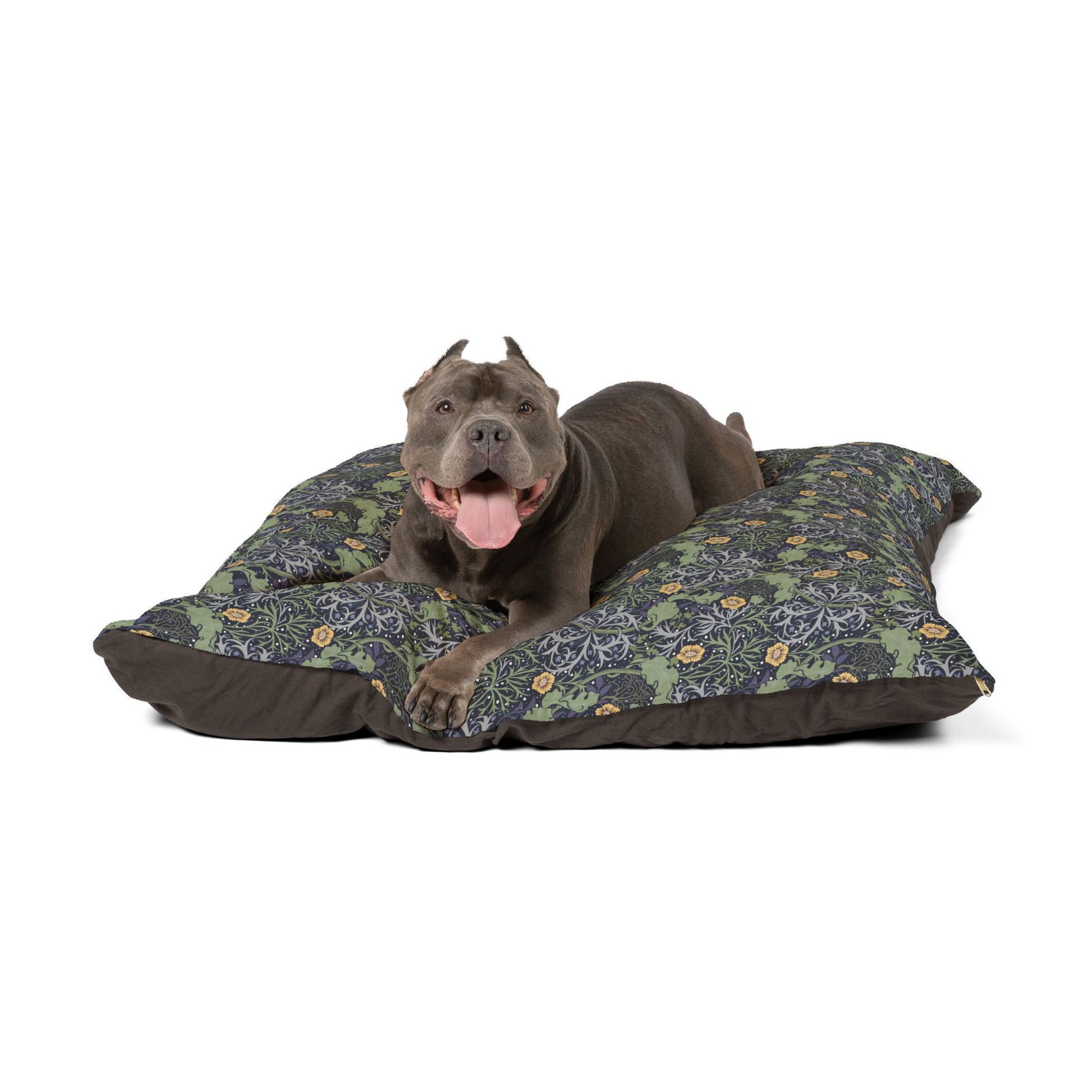 Dog lying on a floral-patterned dog bed with a white background