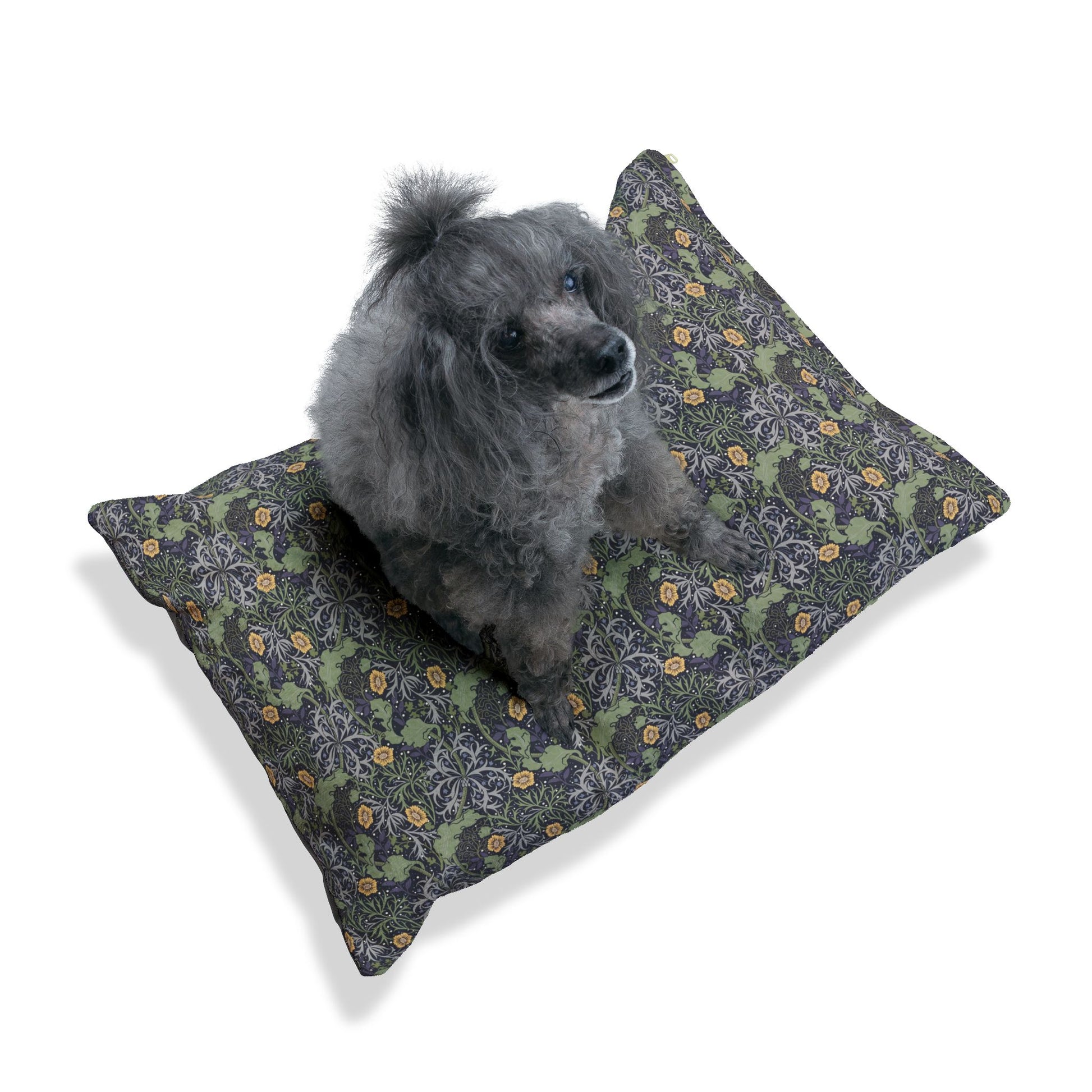 Dog sitting on a patterned pillow with a white background