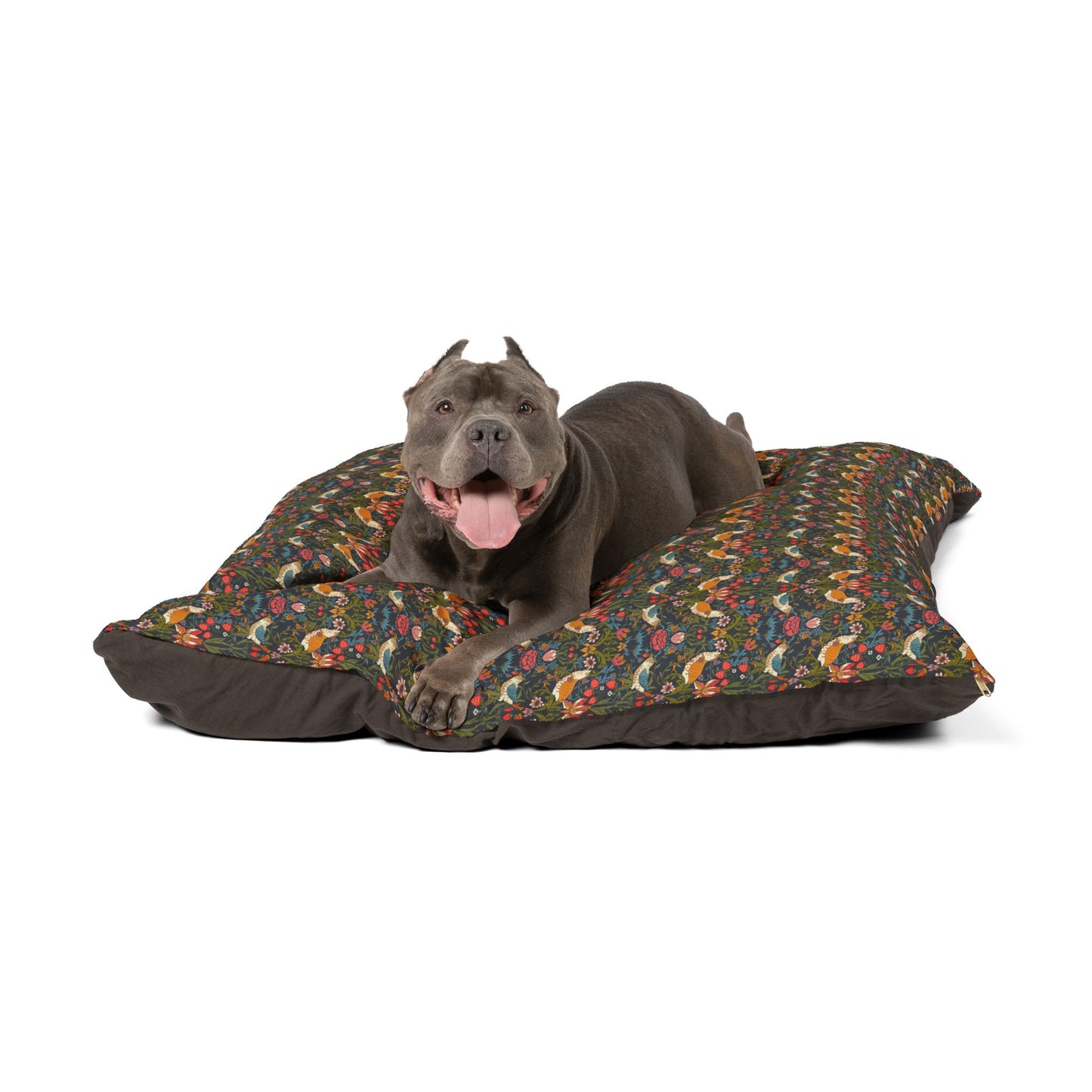 Dog lying on a patterned dog bed with a white background