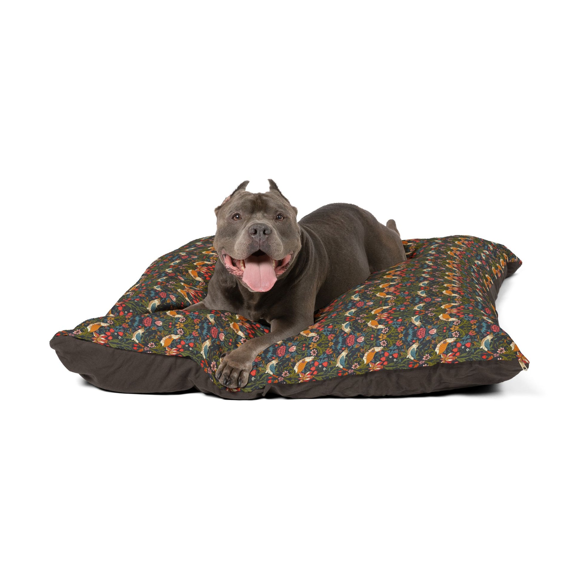 Dog lying on a patterned dog bed with a white background