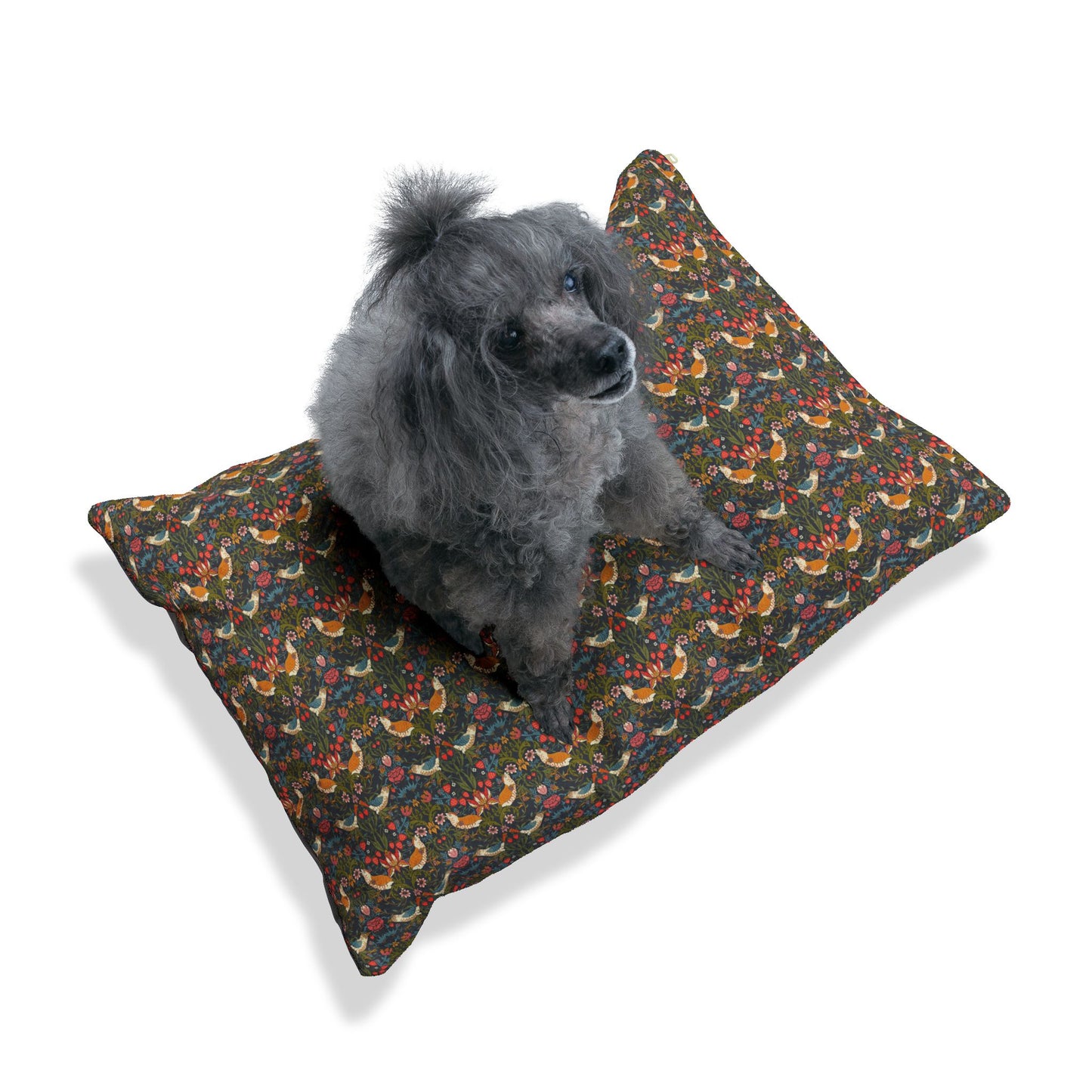 Dog sitting on a patterned pillow with a white background