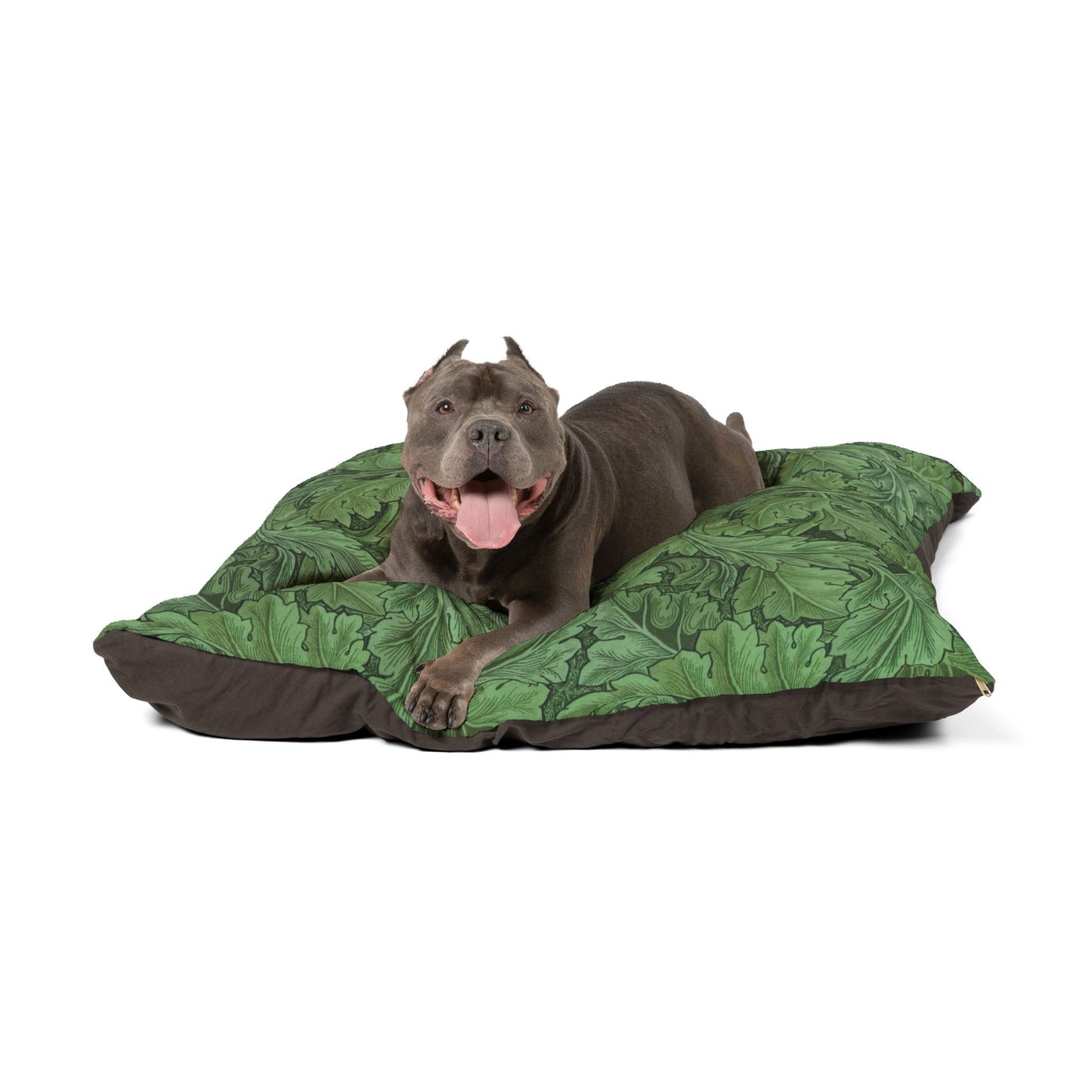 Dog lying on a green and brown patterned dog bed against a white background