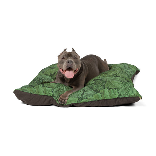 Dog lying on a green and brown patterned dog bed against a white background