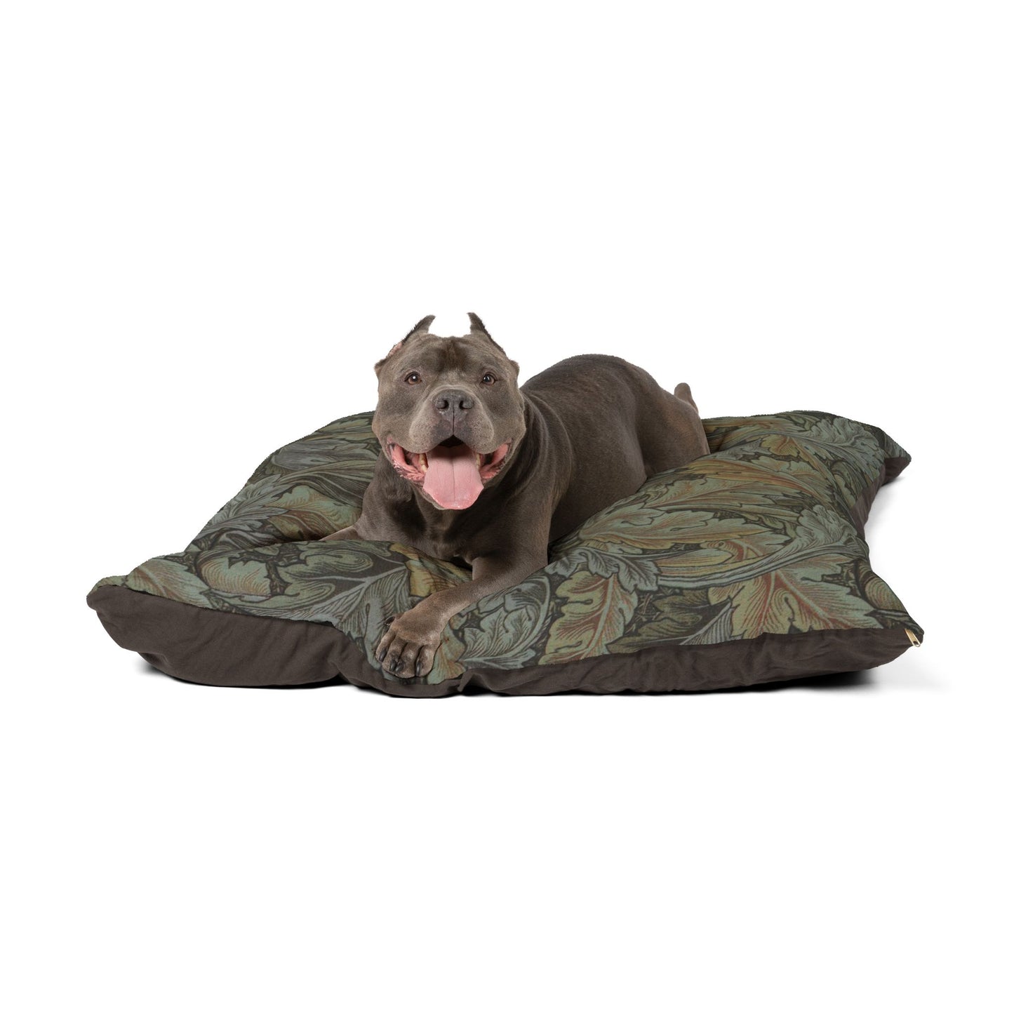 Dog lying on a patterned dog bed with a white background