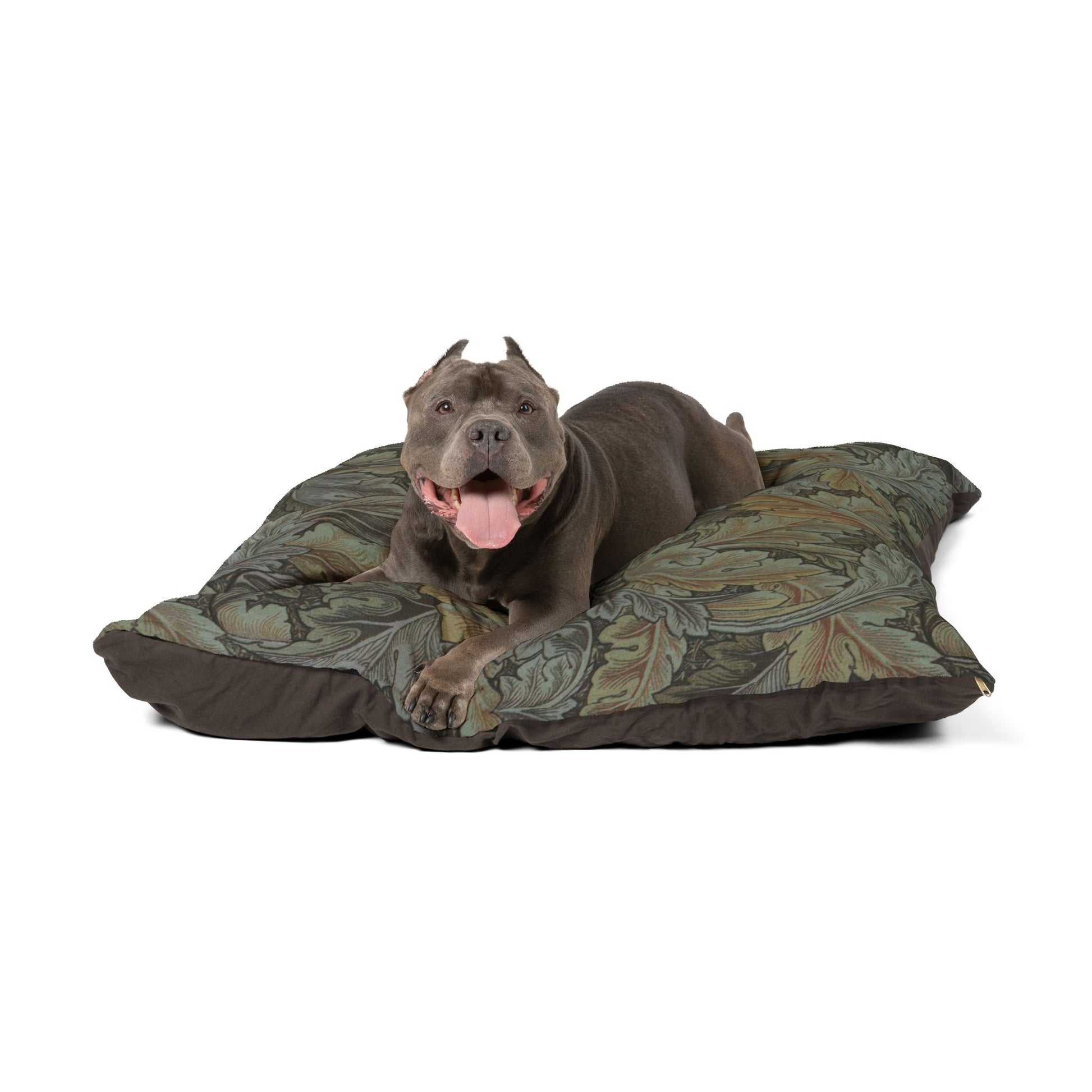 Dog lying on a patterned dog bed with a white background