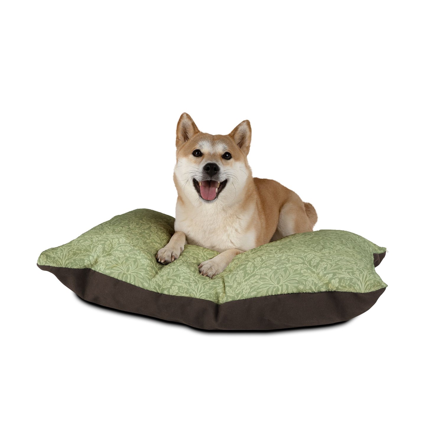 Dog lying on a green and brown pet bed with a white background