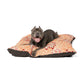 Dog lying on a patterned dog bed with a white background
