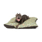 Dog lying on a William Morris & Co patterned pet bed with a white background