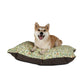 Dog sitting on a William Morris & Co patterned dog bed with a white background