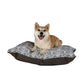Dog lying on a patterned dog bed with a white background