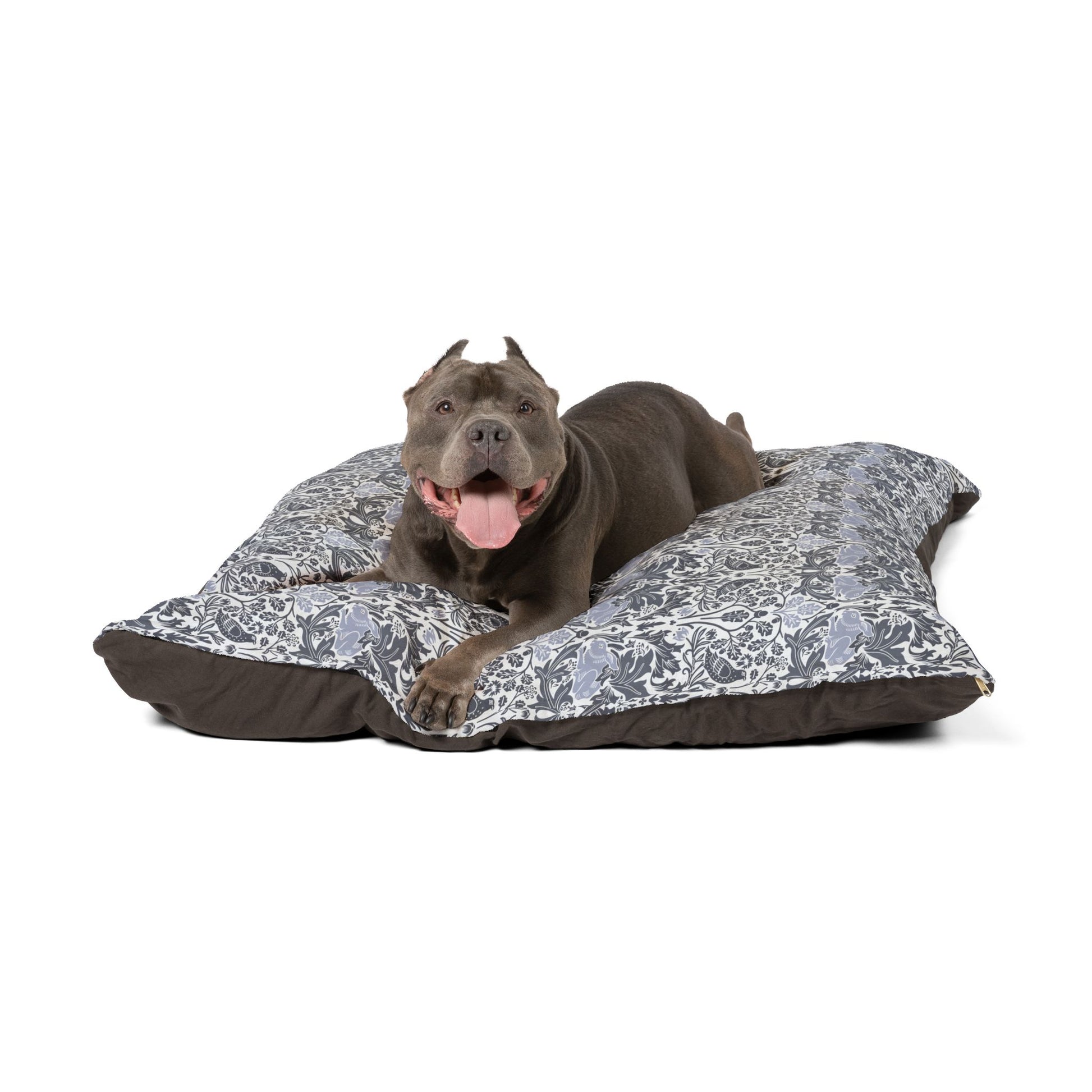 Dog lying on a floral-patterned dog bed with a white background