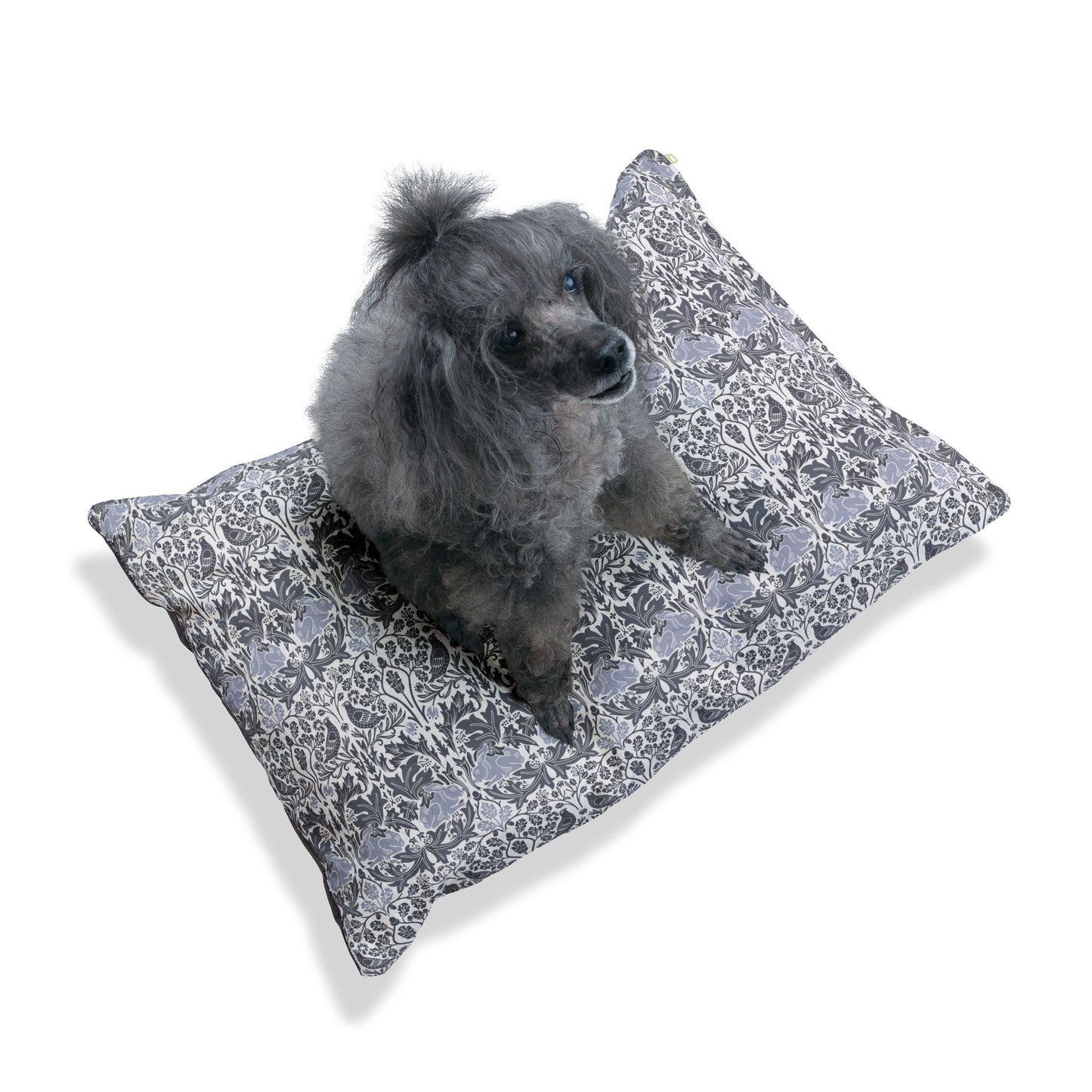 Dog sitting on a floral-patterned dog bed with a white background