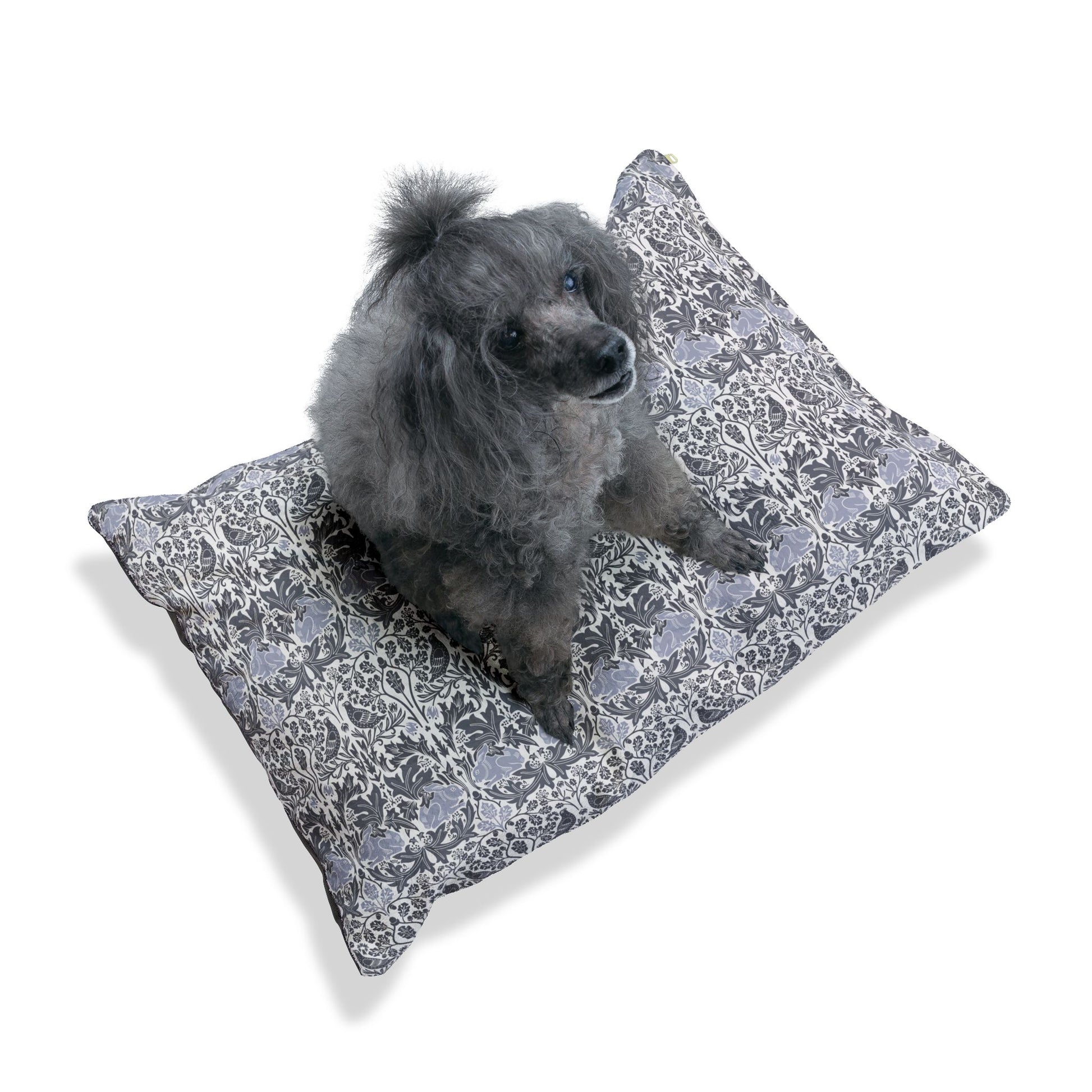 Dog sitting on a floral-patterned dog bed with a white background