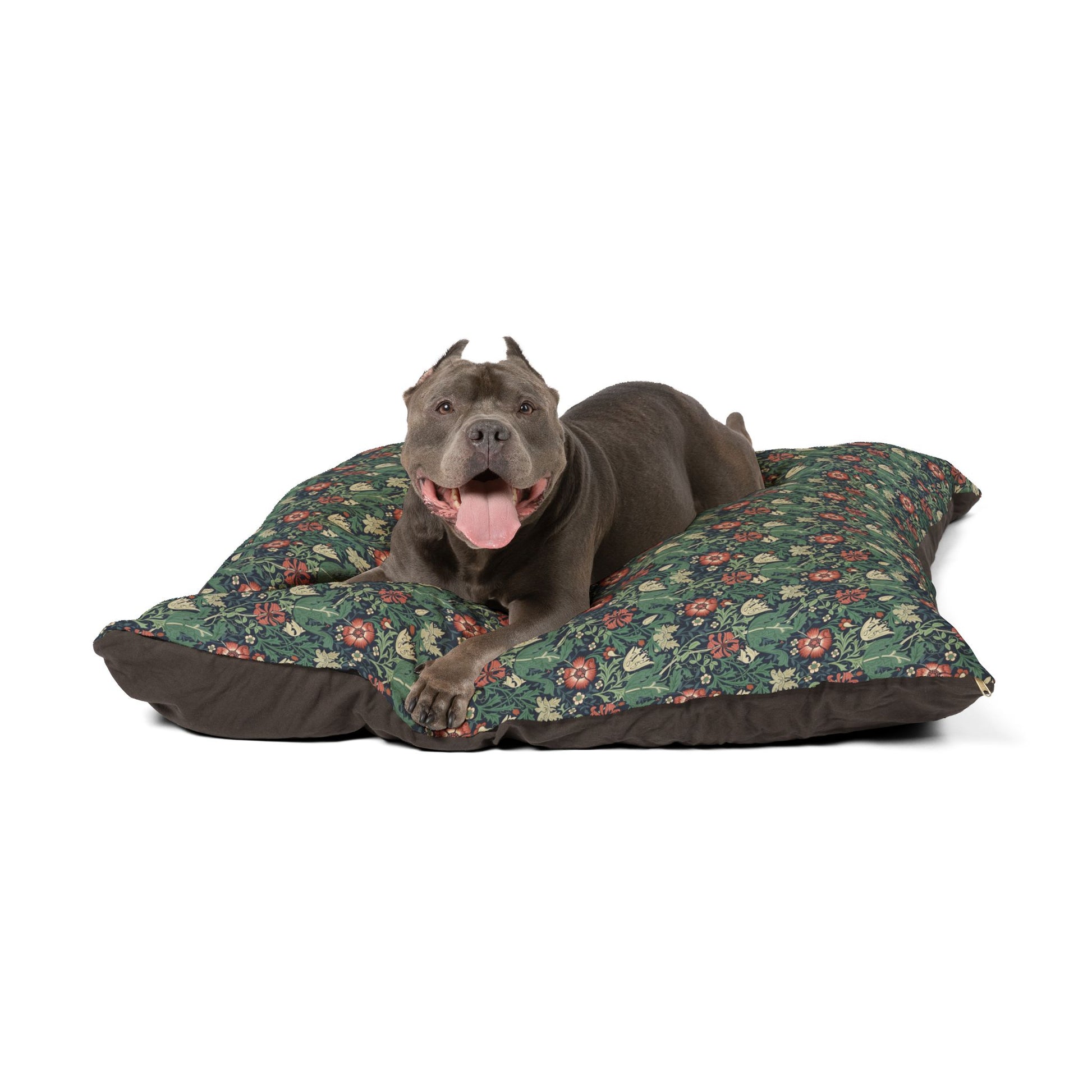 Dog lying on a William Morris & Co floral-patterned dog bed with a white background