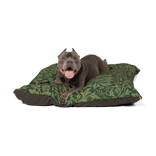 Dog lying on a green and brown patterned dog bed with a white background