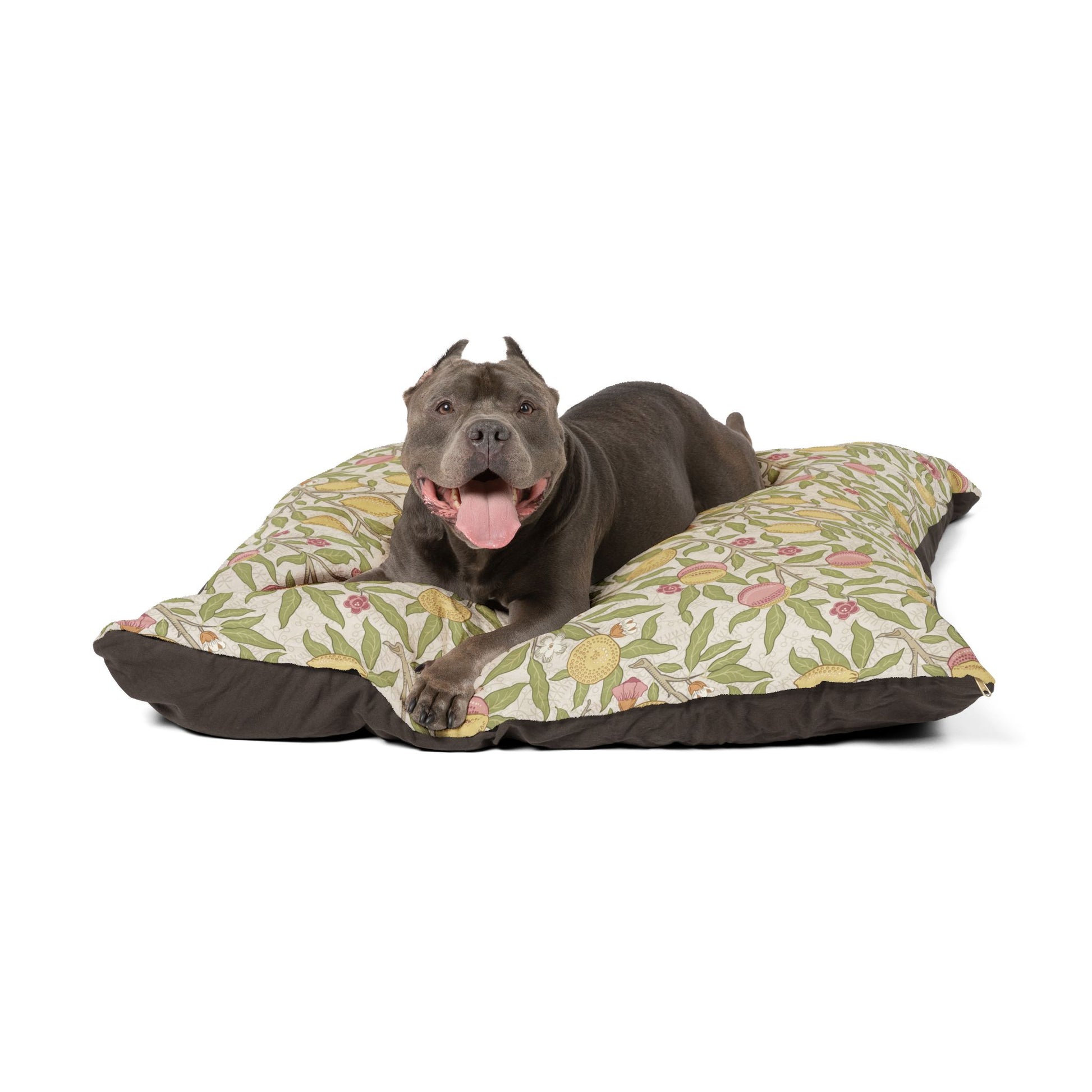 Dog lying on a floral-patterned pet bed with a white background