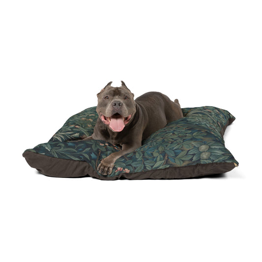Dog lying on a black and red dog bed with a white background