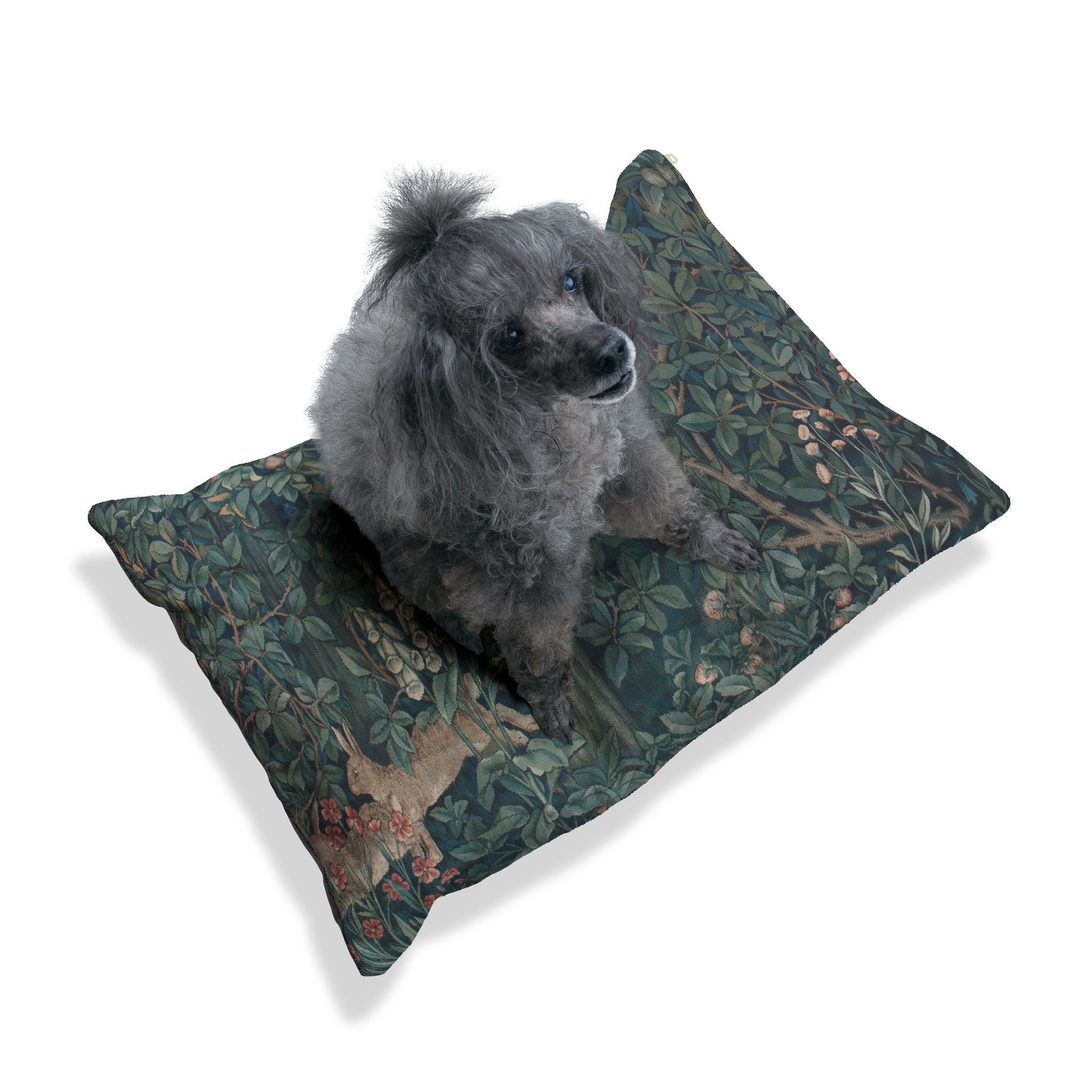 Dog sitting on a decorative pillow with a floral pattern on a white background