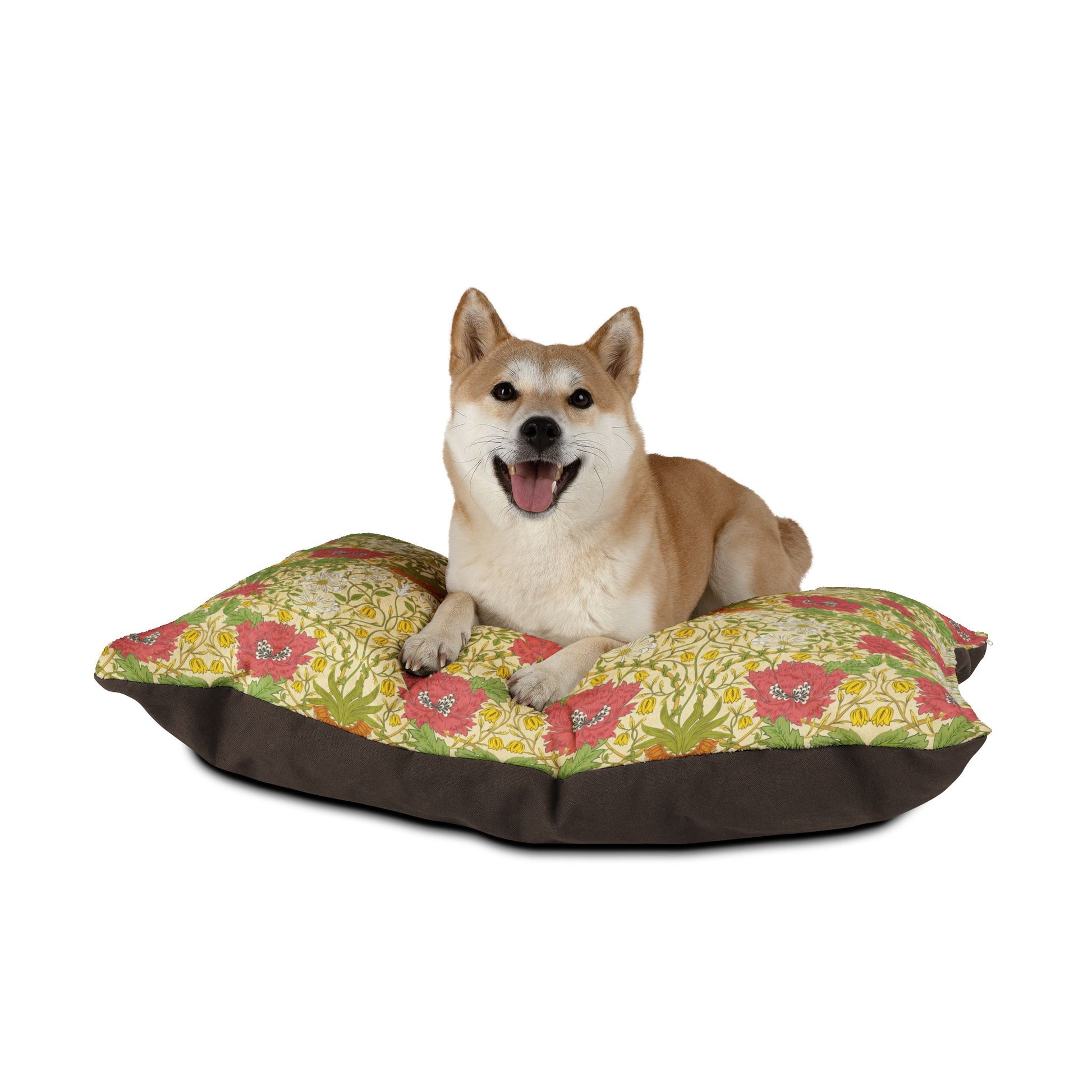 Dog sitting on a floral-patterned dog bed with a white background