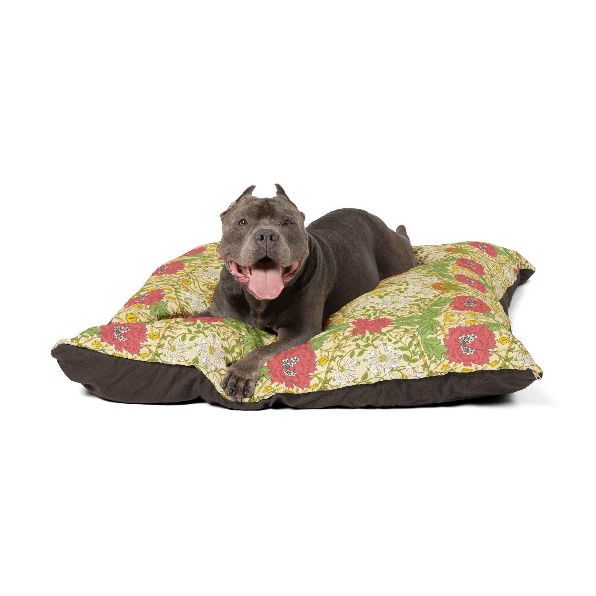 Dog lying on a floral-patterned dog bed with a white background