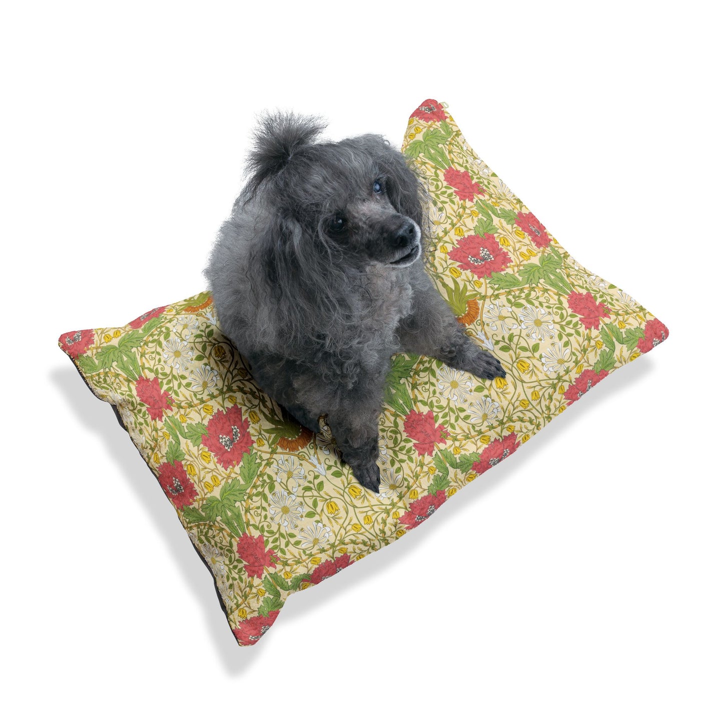 Dog sitting on a floral-patterned pillow with a white background