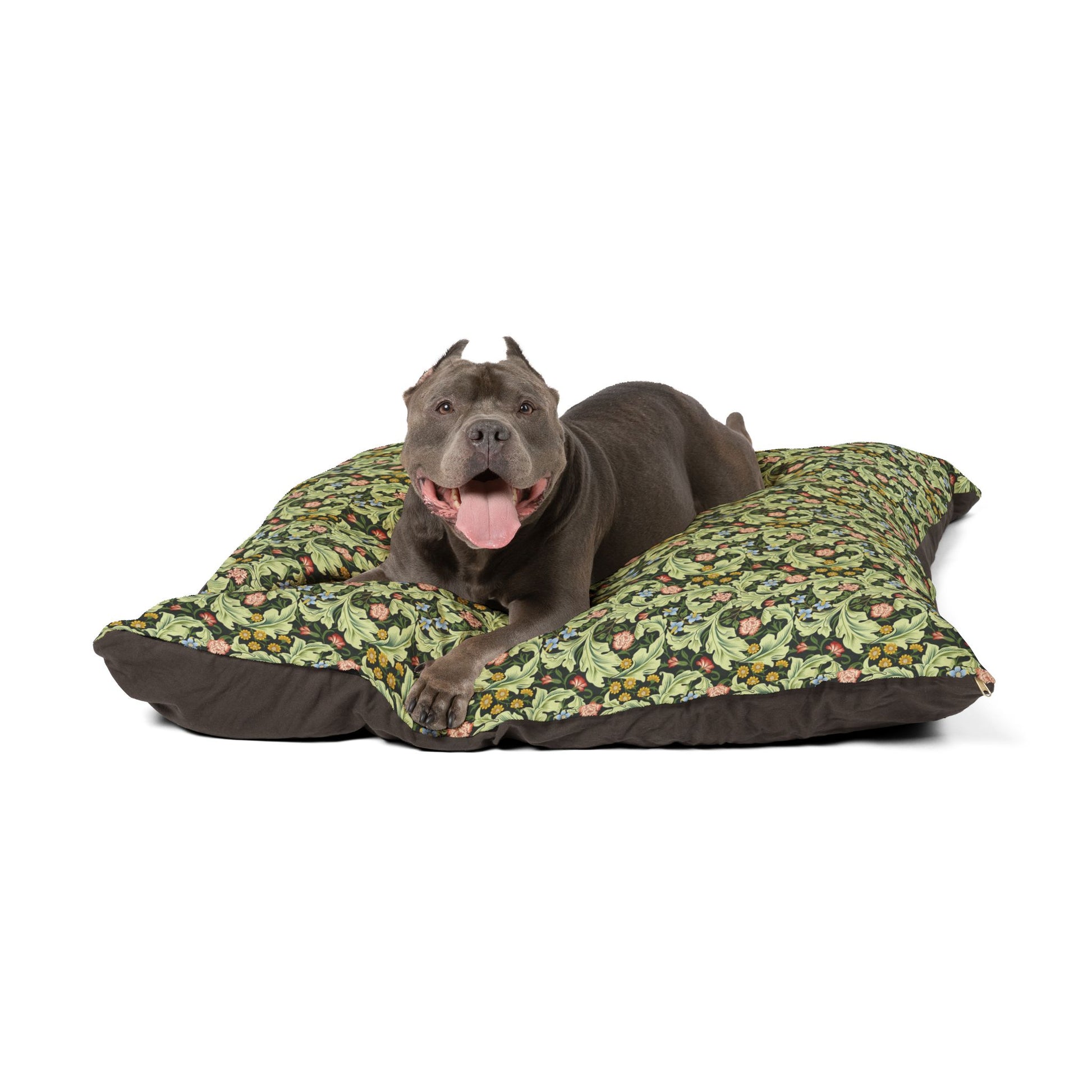 Dog lying on a floral-patterned dog bed with a white background