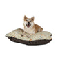 Dog sitting on a patterned dog bed with a white background