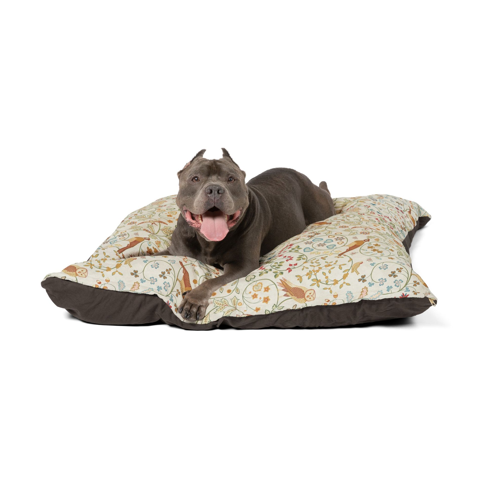Dog lying on a floral-patterned dog bed with a white background