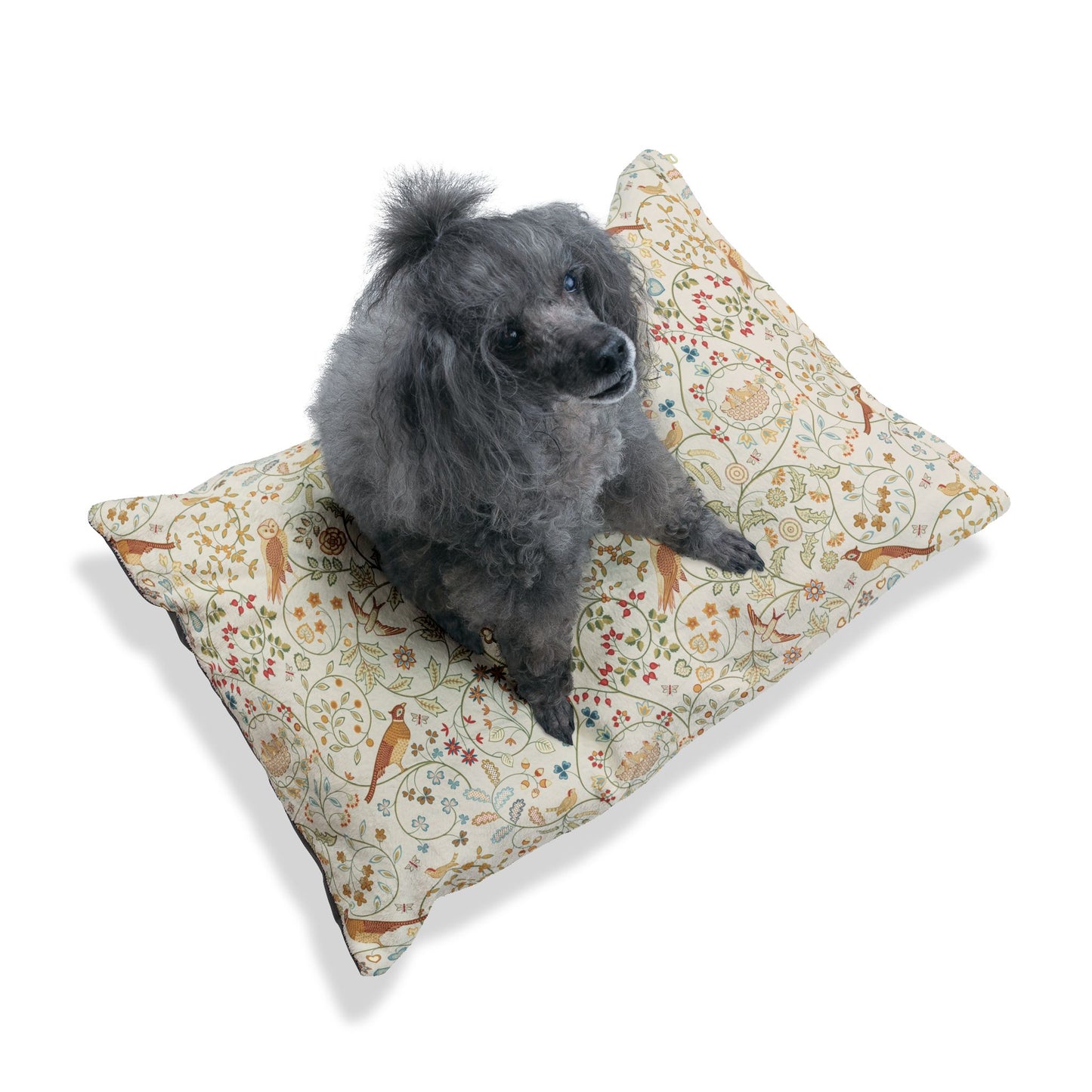 Dog sitting on a patterned pillow with a white background