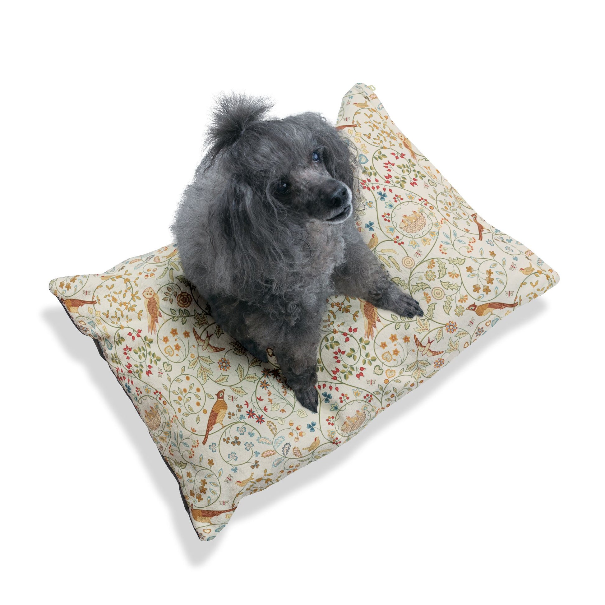 Dog sitting on a patterned pillow with a white background