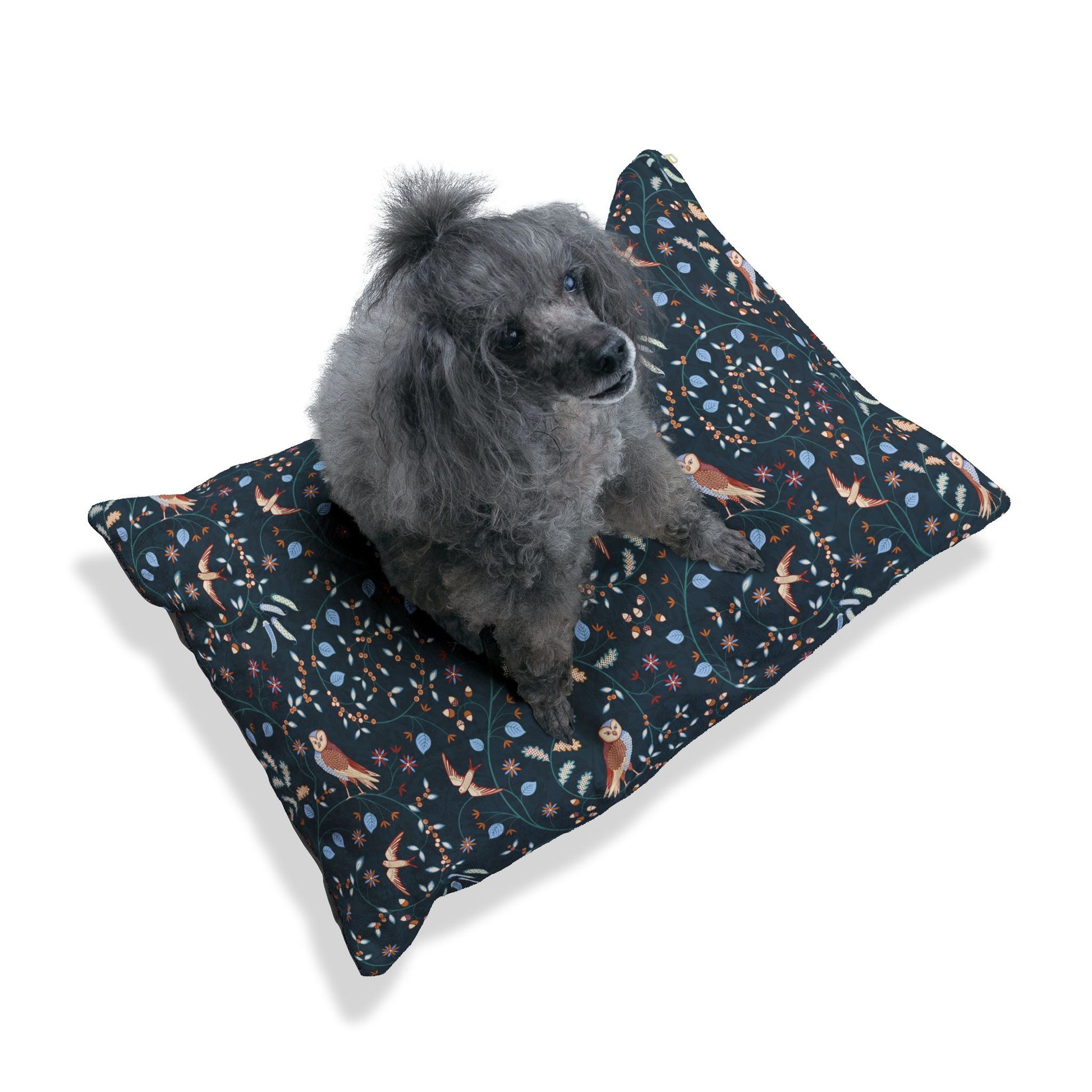 Dog sitting on a patterned pet bed with a white background