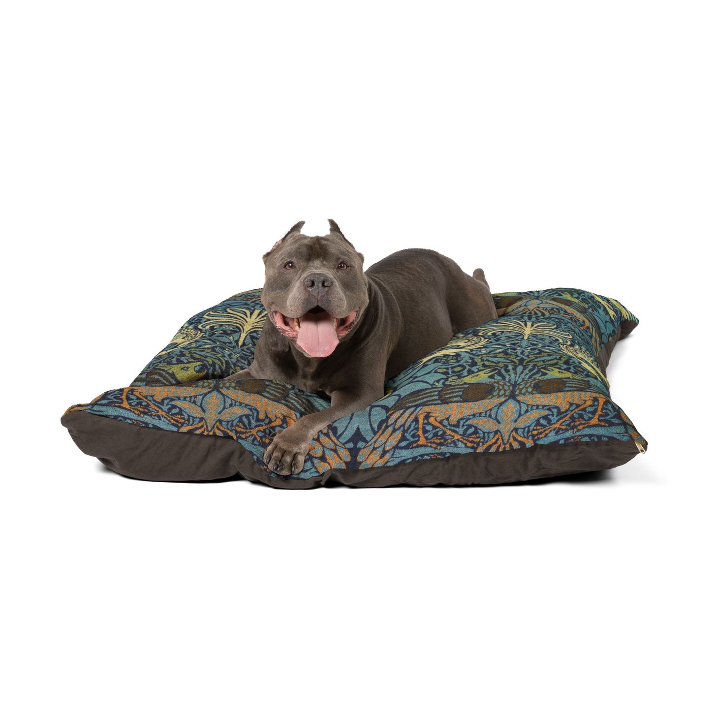 Dog lying on a patterned dog bed with a white background
