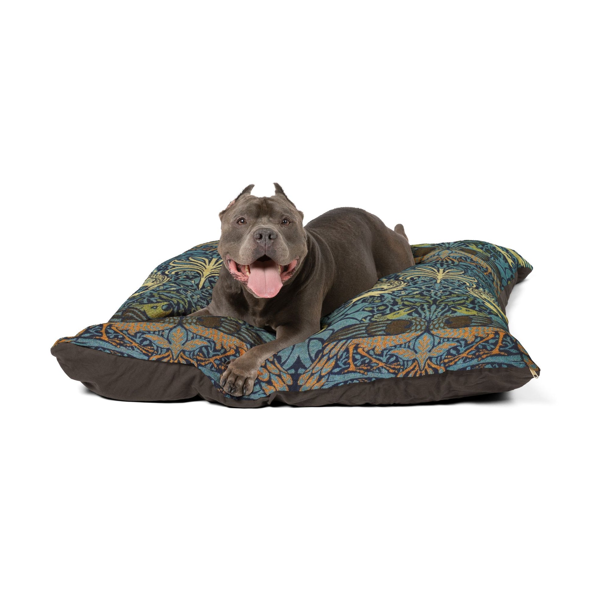 Dog lying on a patterned dog bed with a white background